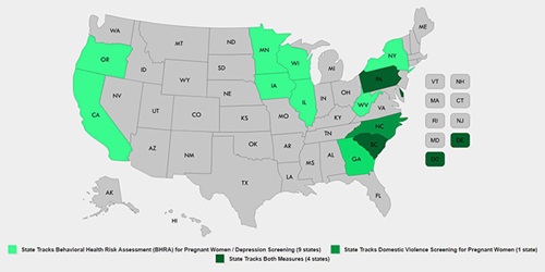 Mapping State Medicaid Efforts