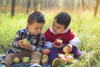 boys eating apples
